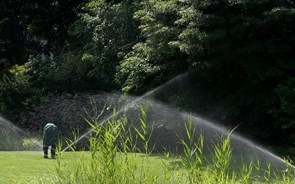 Eram precisos recursos naturais de 2,6 planetas para Portugal ter actual nível de consumo