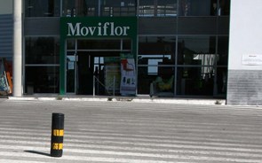 Donos da Moviflor desviaram quase dois milhões de euros de património