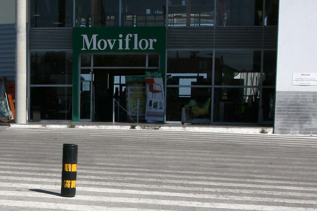 Administrador Judicial considera insolvência da Moviflor culposa