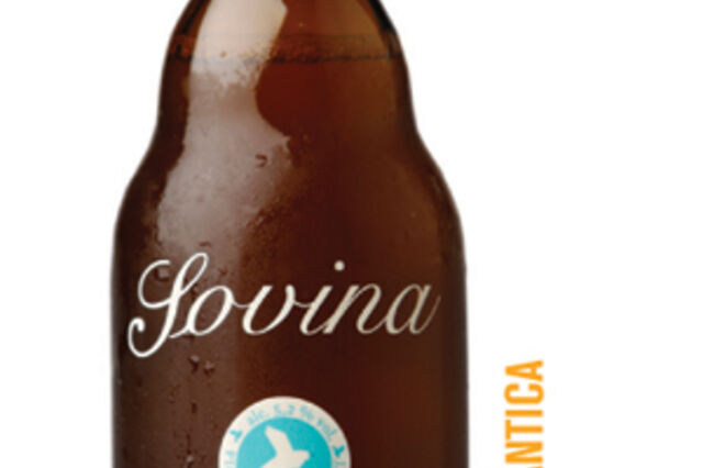 Vai uma cerveja de gengibre