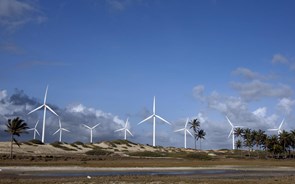 Total vai comprar empresa de renováveis portuguesa por mais de 600 milhões