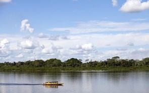 Covid-19: Amazonas pede ajuda a António Costa 