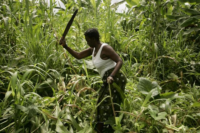 Braga lança Agro África para fertilizar negócios com Angola e Moçambique 