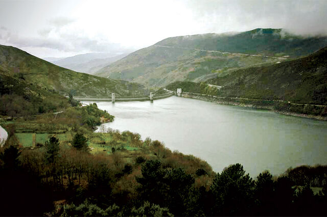 WWF investe 1,8 milhões no restauro ecológico de Portugal com o projeto Re-Store