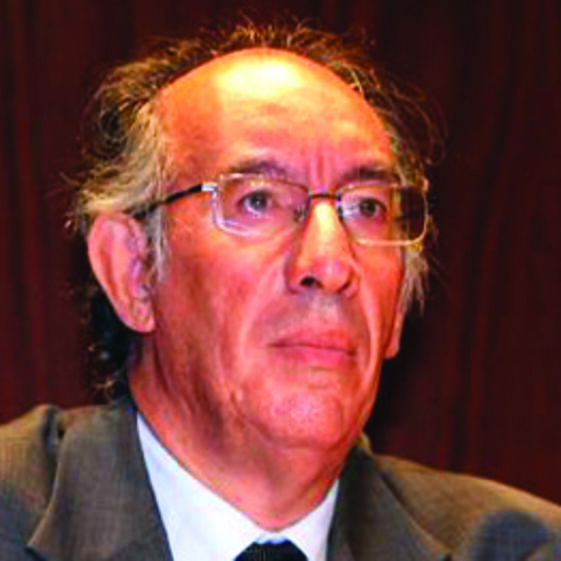tribunal constitucional 