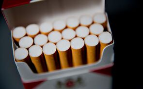 tabaco cigarros fumo