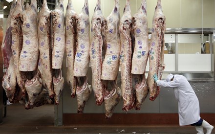 Exportação de porcos portugueses para a China avança quarta-feira e deve atingir 100 milhões