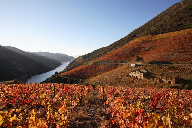 Insolvência da Casa do Douro vale 124,6 milhões