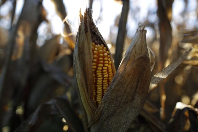 Agricultura recebe 1,7 mil milhões de apoios em 2016