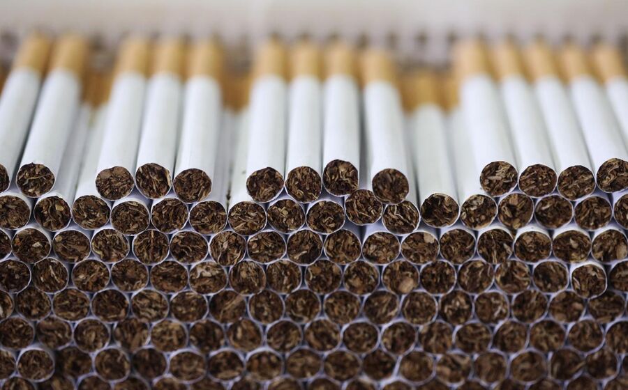 tabaco cigarros fumo
