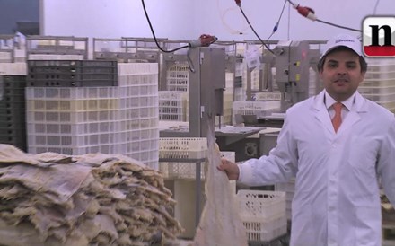 Conheça a fábrica da empresa que processa 100 mil toneladas de bacalhau por ano