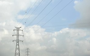 EDP condenada a indemnizar autarquias por receitas dos postes de eletricidade