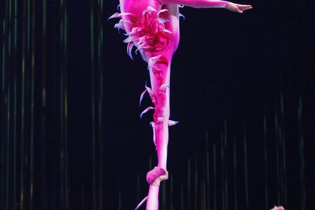 Cirque du Soleil a caminho de ser vendido ao consórcio TPG