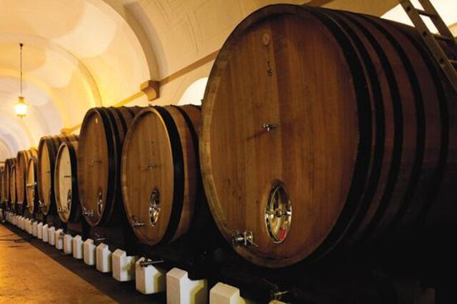 Escolas do Turismo de Portugal reforçam aulas sobre vinhos