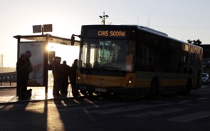 Deco: Portugueses gastam 70 euros por mês em transportes 