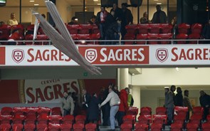 Benfica diz que placas caíram na bancada enquanto eram substituídas