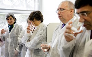 Deputados foram ao laboratório provar água da torneira. E gostaram 