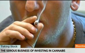 The Business of Investing in Cannabis
