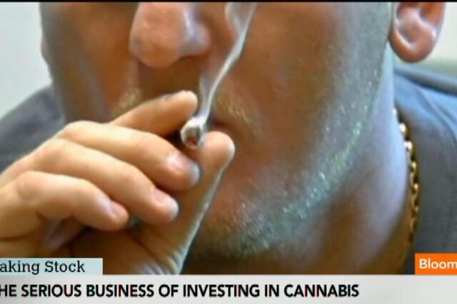 O negócios de investir em cannabis