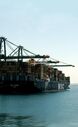 MSC exportações