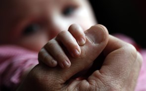 Empresas pedem esta quinta-feira incentivos públicos para melhorar práticas de natalidade 