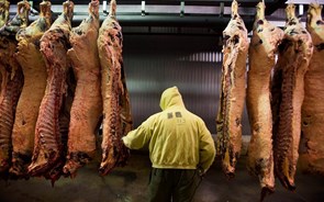 Angola vale 70% das exportações de produtos derivados de carne
