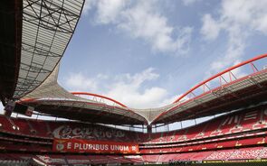 10-03-2014_17_48_45 estádio benfica 