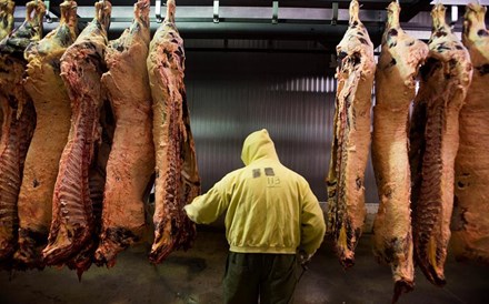 A produção de carne em Portugal aumentou 5% em 2015, crescendo em todas as espécies pecuárias. Em média, cada português comeu 111 quilos de carne, mais três do que no ano anterior.