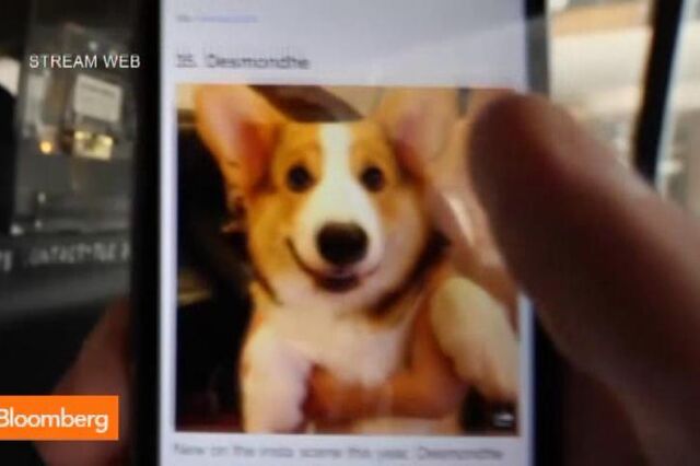 Quais as diferenças entre os browsers no mobile e nos computadores?