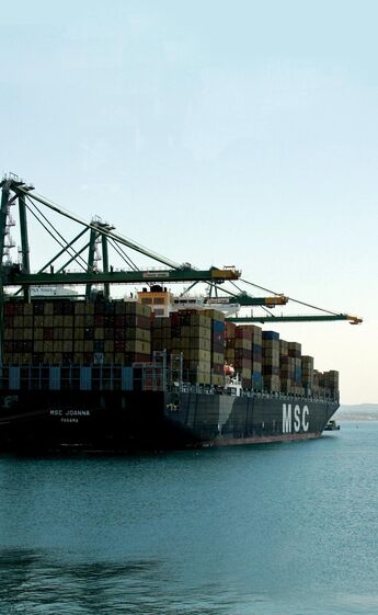 MSC exportações