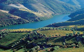 Três vinhos da região do Douro estão entre os dez melhores do mundo