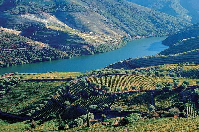 'Boys' trazem o mundo ao Douro