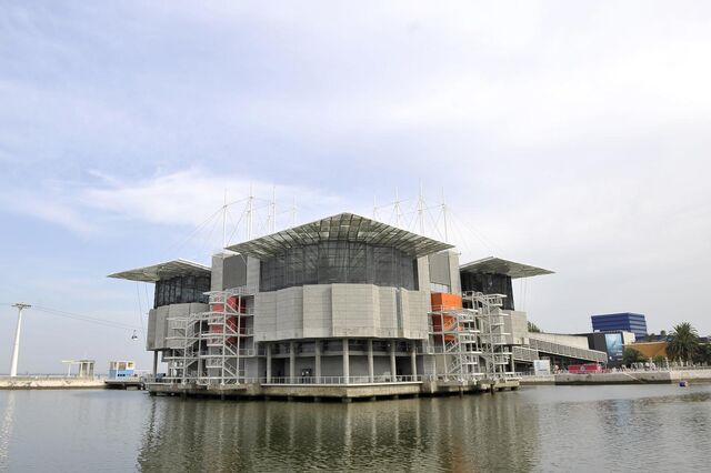 Espanhóis na corrida para comprar o Oceanário