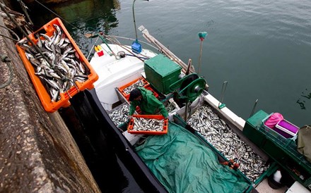 Portugal recebe mais de 500 milhões de euros para o sector das pescas