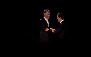 Cavaco