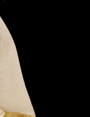 Mohammed bin Rashid Al Maktoum