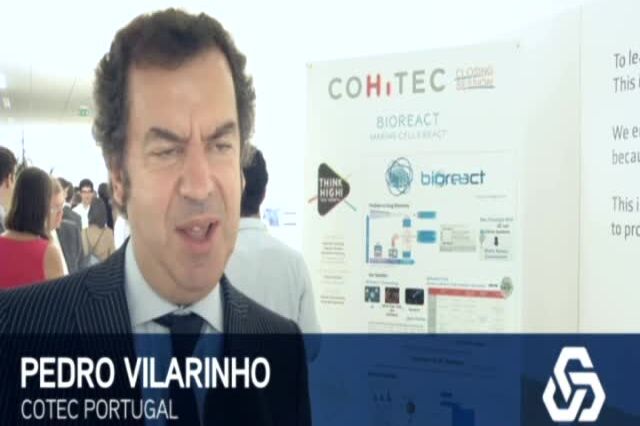 Programa Cohitec apoia startups