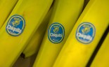 Cutrale aumenta oferta pela Chiquita no negócio da banana