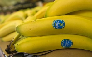 Chiquita alvo de OPA agita negócio da banana