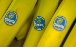 Chiquita recusa oferta hostil de 611 milhões de dólares e mantém intenção de comprar a Fyffes