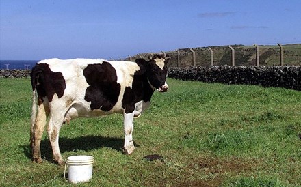 Produtores querem que preço mínimo do leite ascenda a 37 cêntimos em 2019