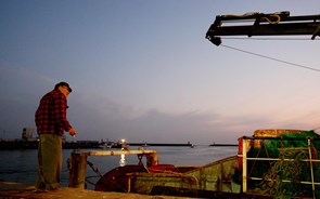 Estaleiros Navais de Peniche fecham acordo na Índia