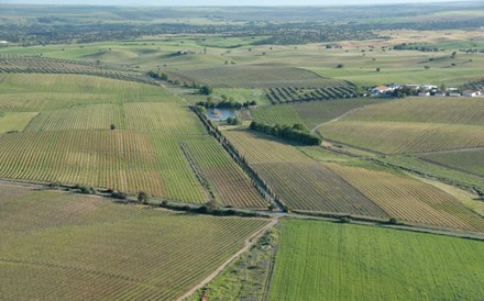 Vinho: Incógnito, mas muito seguro