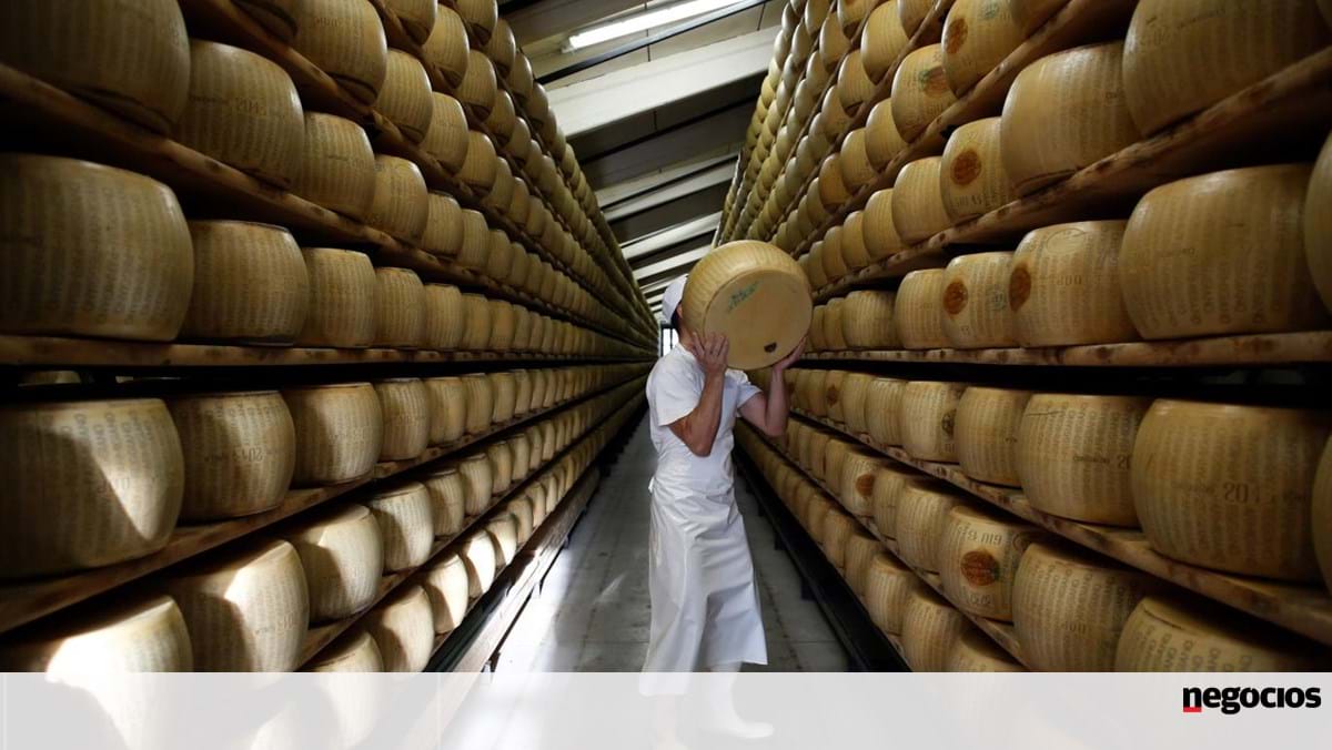 Massive increase in imports threatens Portuguese cheese – agriculture and fisheries
