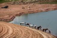 Um grupo de peregrinos no rio Jaguari, em São José dos Campos, no Estado de São Paulo.
