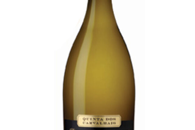 Um vinho para fazer história e meter o Dão na moda