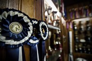 Na sala de troféus da Coudelaria da Companhia das Lezírias estão expostos todos os prémios que os cavalos criados da herdade foram recebendo ao longo dos anos. Os animais premiados, ou filhos de campeões, têm mais valor de mercado.