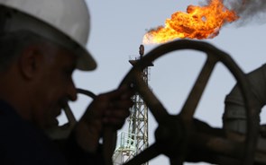 Como a queda dos preços do petróleo está a encolher o sector 