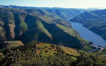 Portugal é o nono maior exportador de vinho