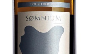 Vinhos: Um sonho saboroso